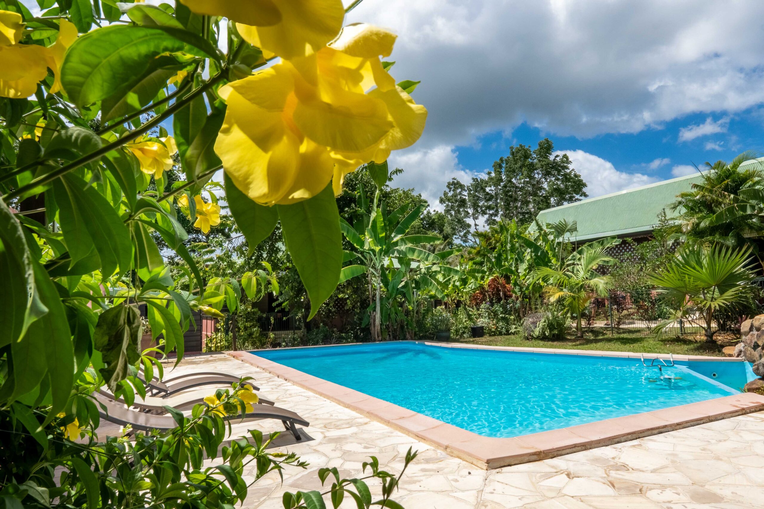 Gîtes Bagatelle piscine Sainte-Rose Guadeloupe